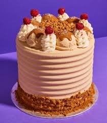 vegan Biscoff sundae cake